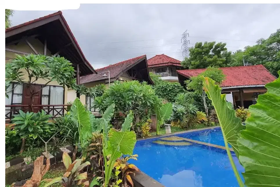 VILLA FULLY OPERATED FREEHOLD IN LOVINA BULELENG - Image 3 of 10