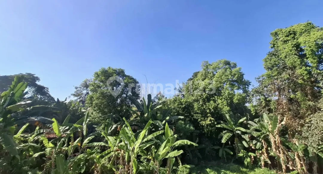 Disewakan Rumah di Jl Raya Kapal Munggu - Image 3 of 4