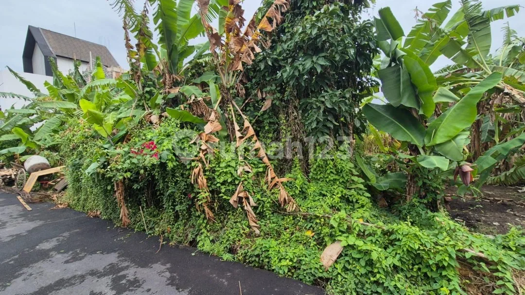 Dijual Tanah Lokasi Strategis di Sanur Zona Kuning - Image 3 of 4