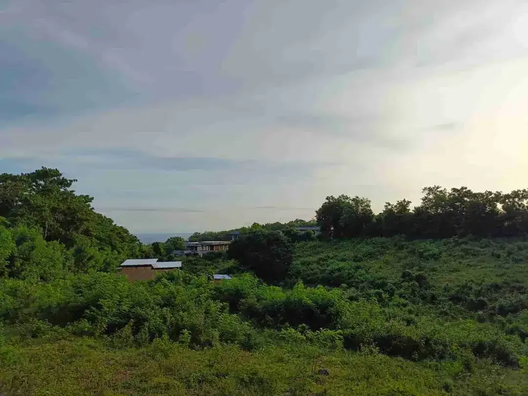Tanah Premium Jl Belimbing Sari Pecatu - Image 5 of 7