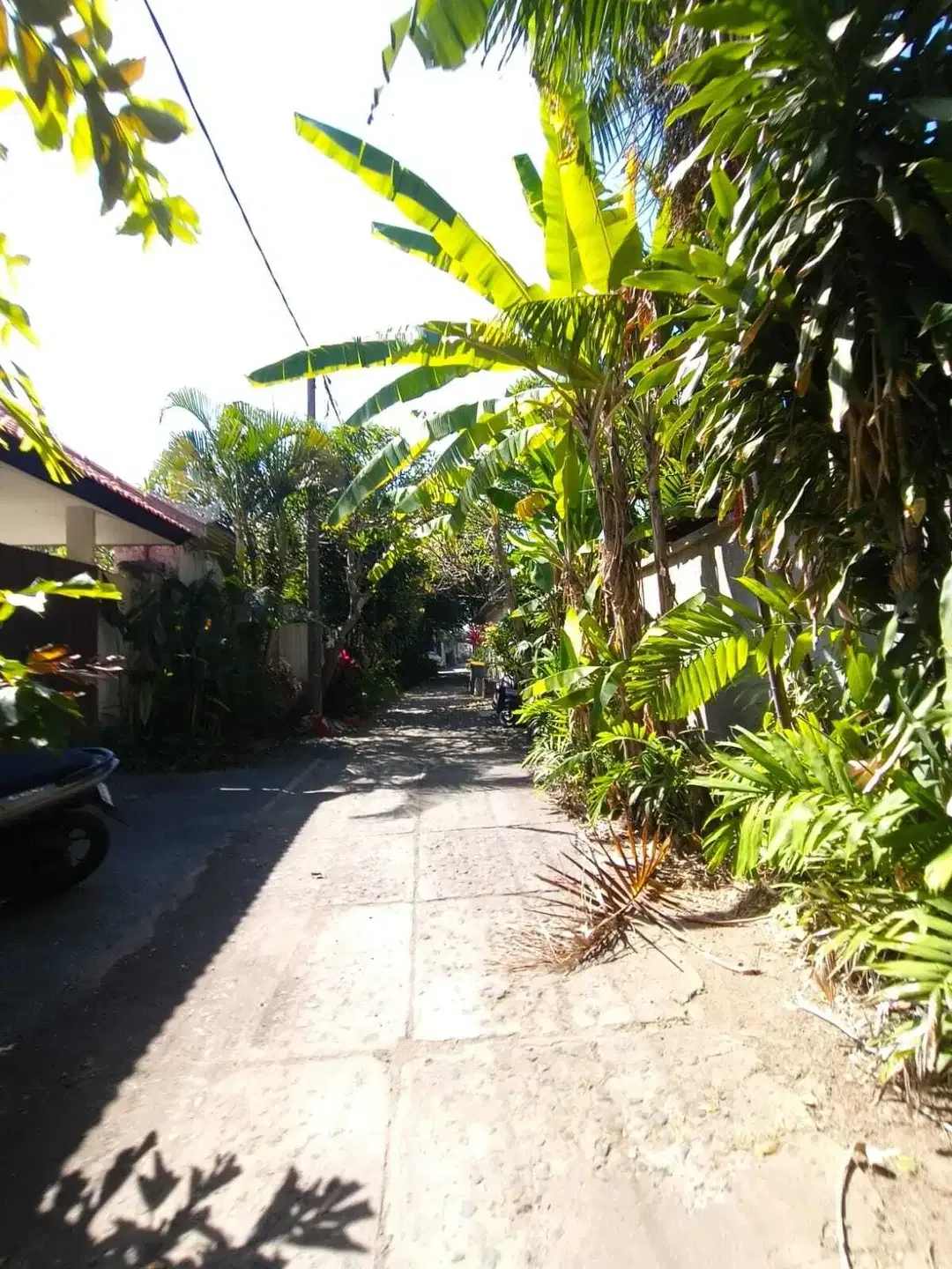 Tanah Premium Lingkungan Villa Dekat Pantai Sanur Bali - Image 8 of 8