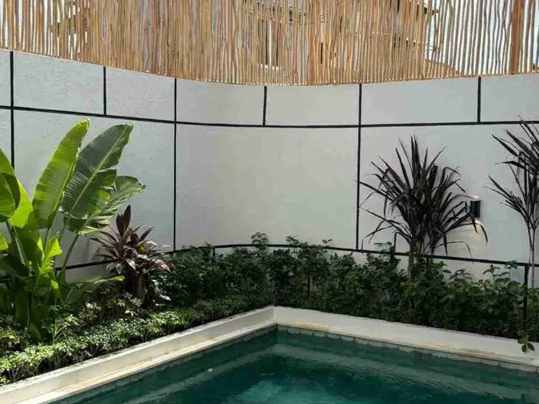 new brand villa padonan canggu - Image 2 of 7