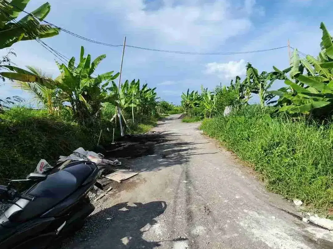 Tanah Murah Dekat Pantai Seseh dengan View Sawah - Image 7 of 7