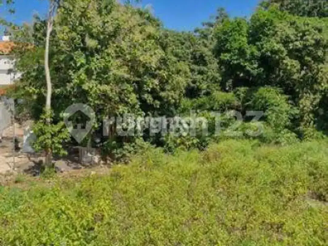 Tanah Premium 32 Are Jalan Uluwatu Unggasan, Zona Pink, SHM, Rp 700 Juta/Are - Image 4 of 7