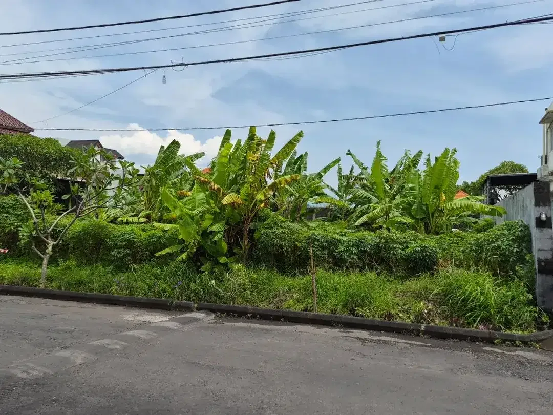Tanah 4,6 are di Badak Agung Renon Dekat Drupadi Jayagiri Regent School - Image 4 of 7