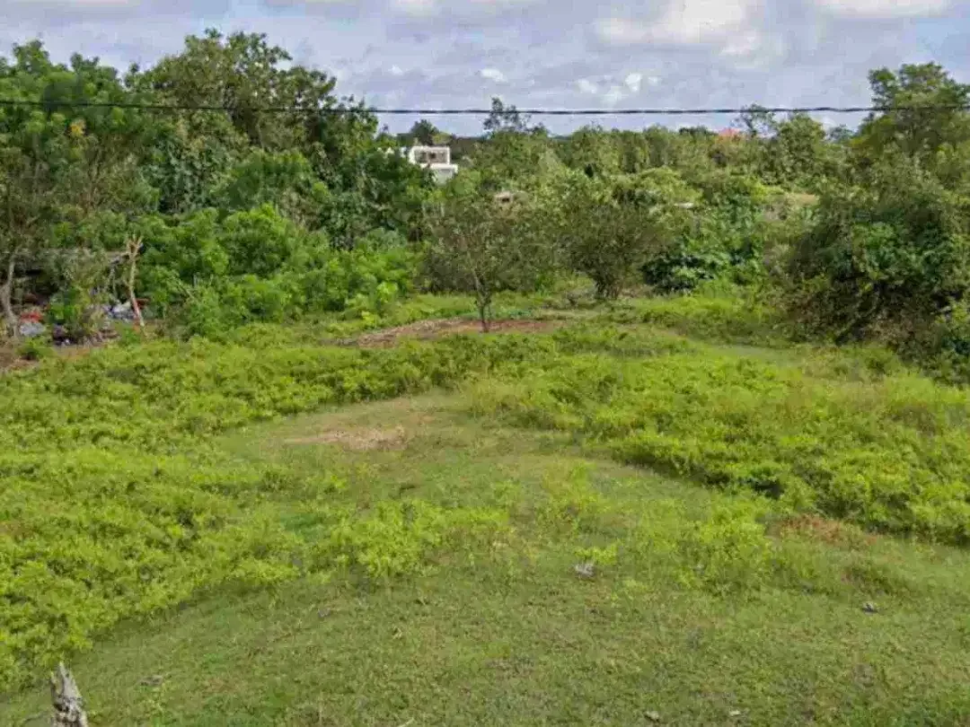 dijual tanah 5,44 are harga 600 Jura per are jln utama gunung payung Pandawa beach kutuh badung bali - Image 2 of 7