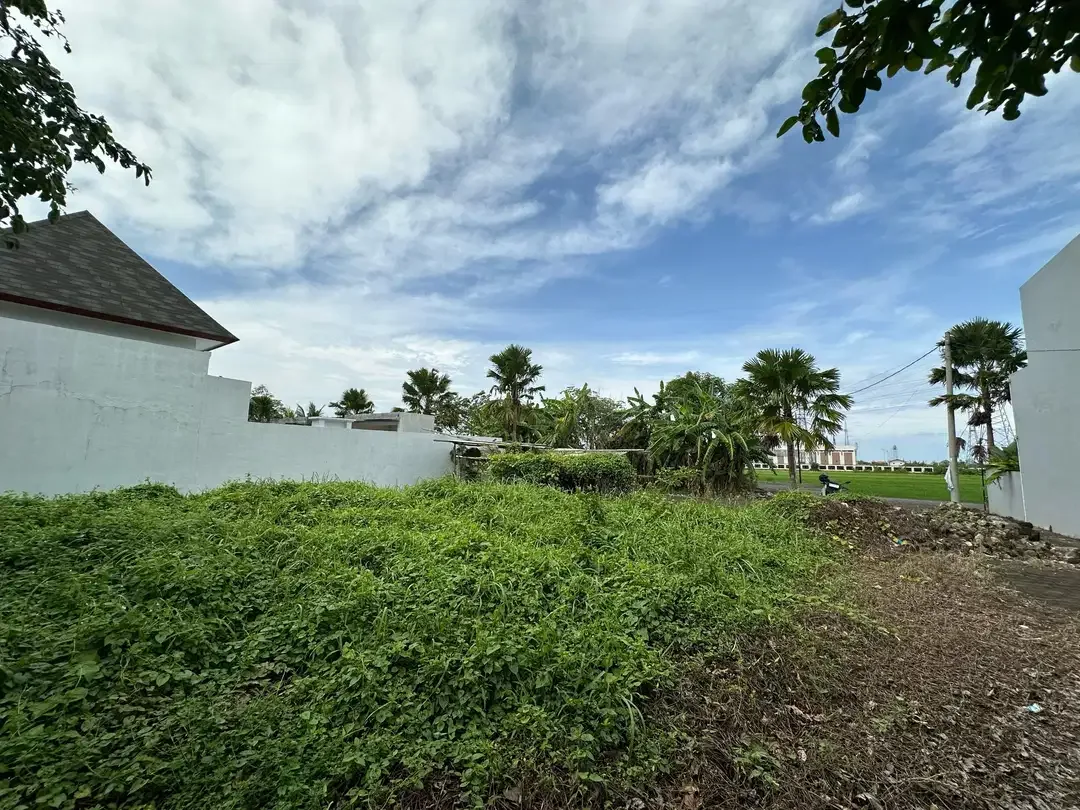 15 Menitan Canggu TANAH PANTAI KEDUNGU LINGKUNGAN VILLA VIEW SAWAH - Image 4 of 10