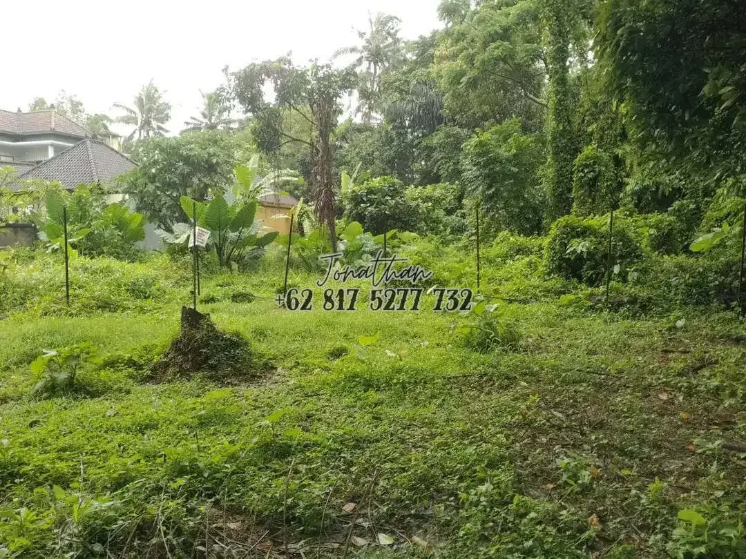Tanah 300 m2 Zona Kuning Singakerta Ubud Siap Bangun - Image 5 of 6