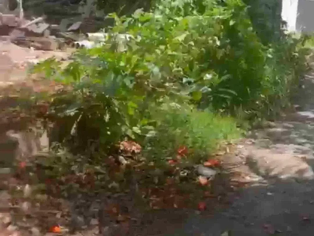 dijual tanah 6,62 are IDR 1,5 milyar per are dipantai suluban Pecatu Badung Bali - Image 4 of 9
