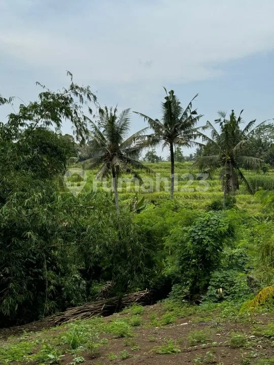 Dijual Tanah di Mas, Ubud - View Sawah & Lingkungan Villa Tenang - Image 1 of 4