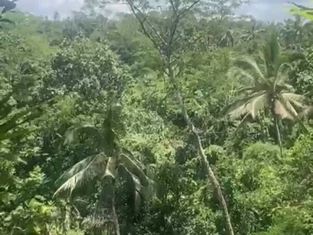 2 Bedroom Villa for rent in Ubud, Bali - Image 5 of 7