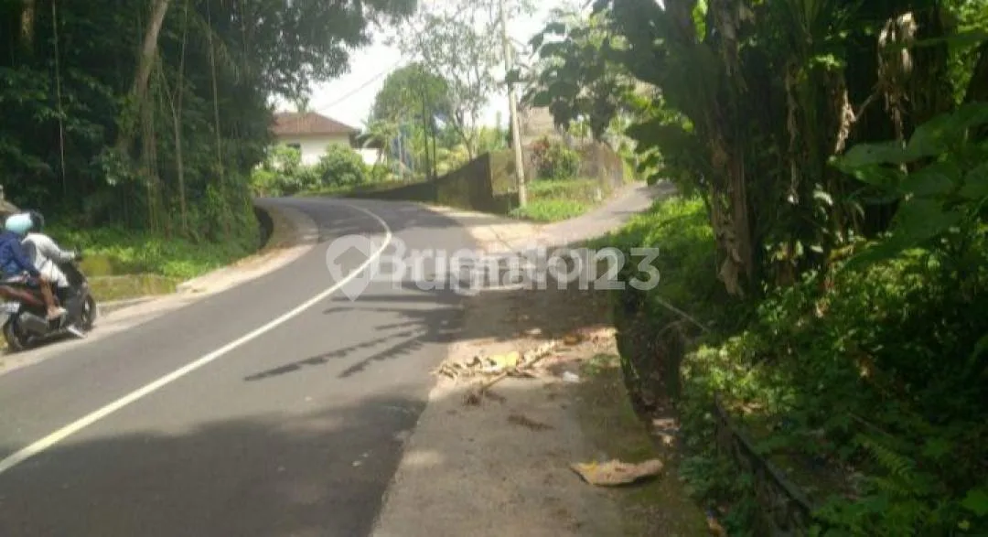 Tanah Tabanan Cocok untuk Investasi - Image 2 of 4