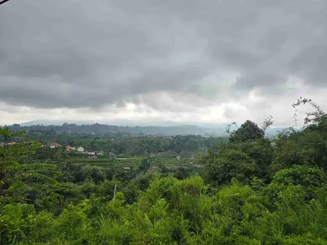 kebun dengan view gunung dan sawah penuh panorama - Image 2 of 9