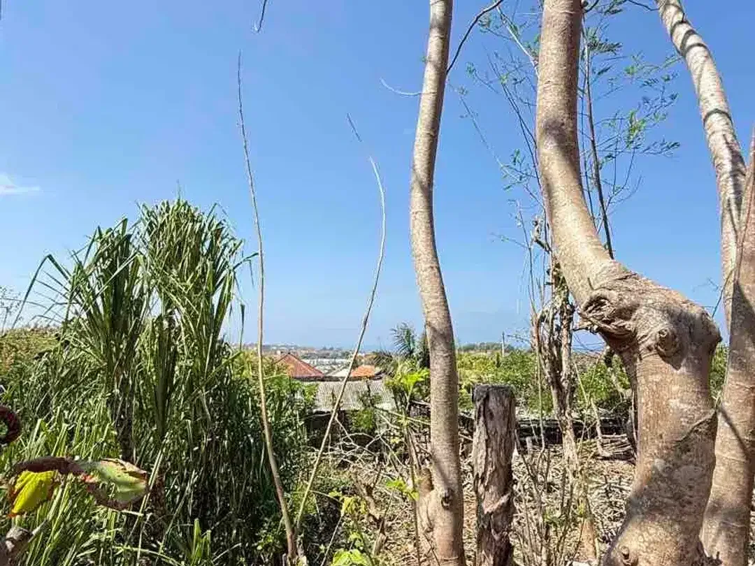 DIJUAL TANAH OCEAN VIEW – BELIMBING SARI III, PECATU BALI - Image 7 of 10