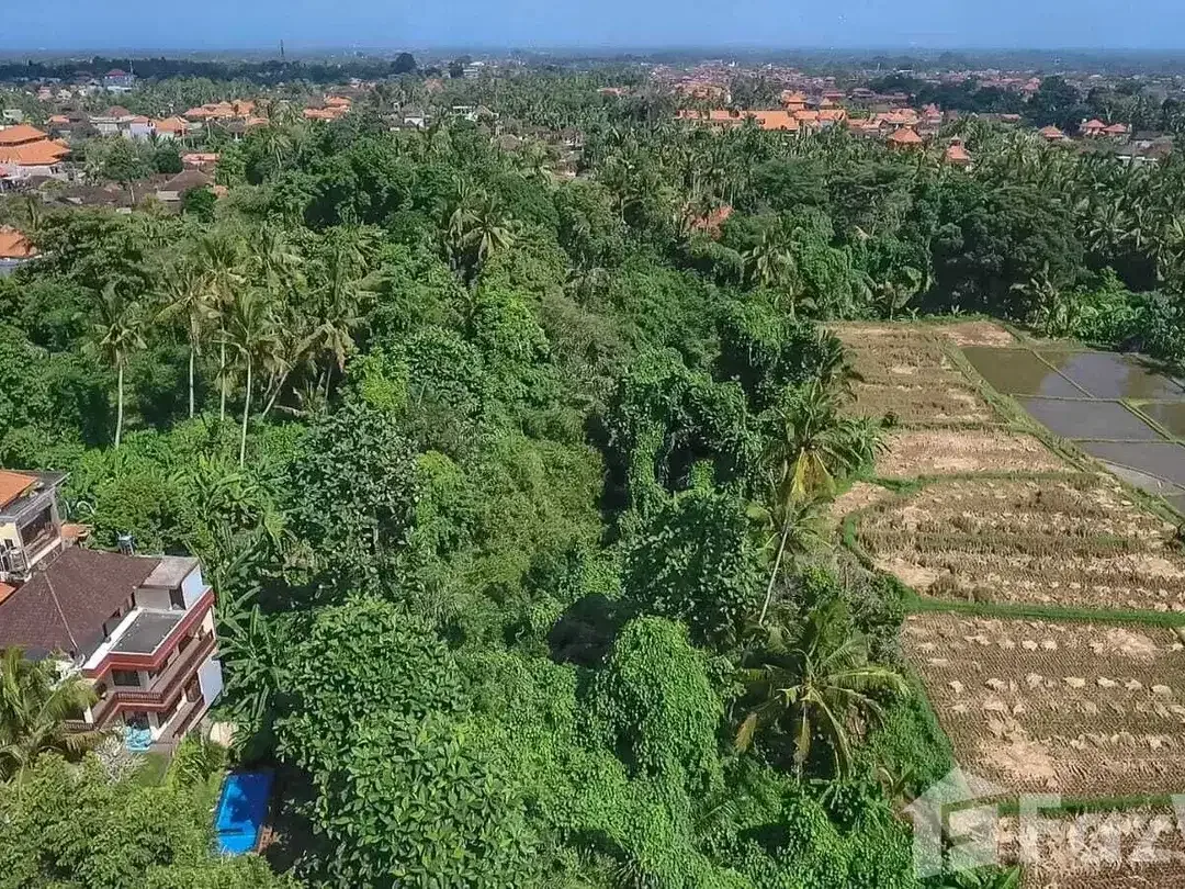 Land for sale in Ubud, Bali - Image 8 of 10