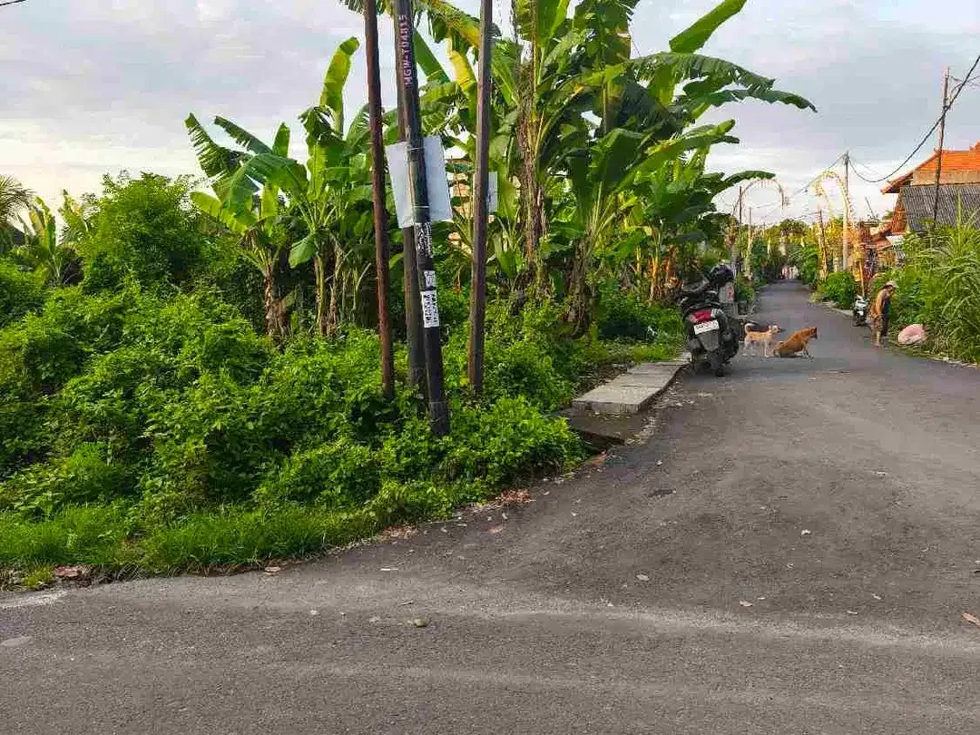 dijual tanah 12,31 are IDR 550 juta per are dekat pantai Balangan Jimbaran Kuta Selatan Badung Bali - Image 2 of 10