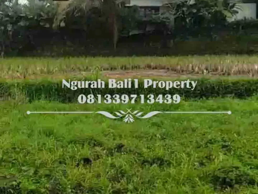 Disewakan Tanah Murah Luas 20 Are View Sawah Berlokasi di Pejeng Kangin - Image 7 of 7
