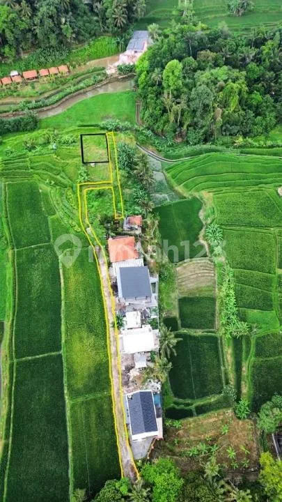 Tanah Premium Murah View Sawah Dekat Ubud Bali - Image 4 of 4
