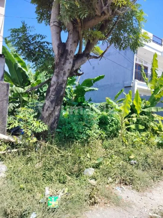 Tanah Dijual Lokasi Tukad Balian Renon - Image 3 of 4
