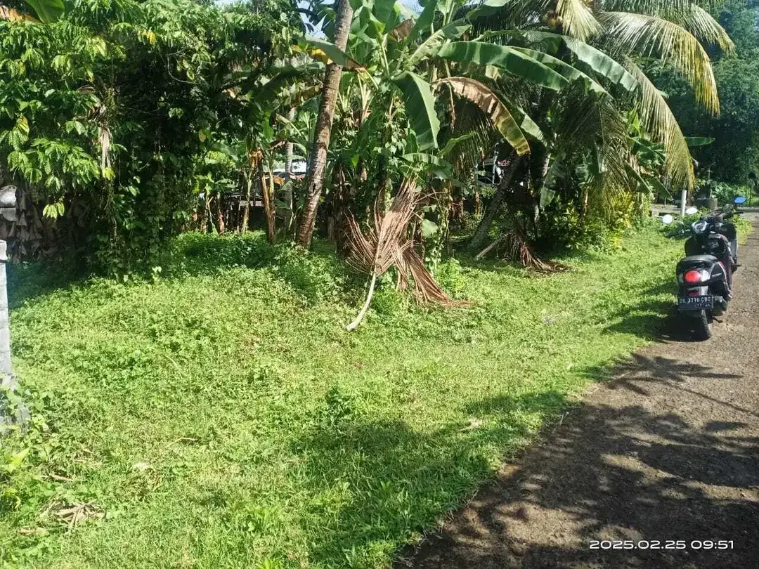 Residential land of 22 are for sale in Mambang, Tabanan - Image 3 of 3