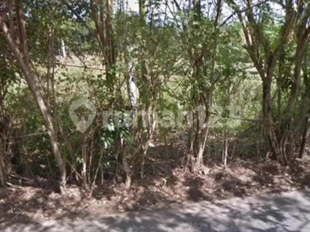 Disewakan Tanah Pinggir Jalan Zona Pariwisata - Image 2 of 5