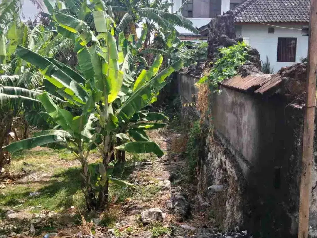 TANAH MURAH JALAN PANDU DALUNG PERBATASAN PADONAN CANGGU SIAP BANGUN, COCOK UNTUK GUESTHOUSE HOMESTAY VILLA - Image 6 of 7