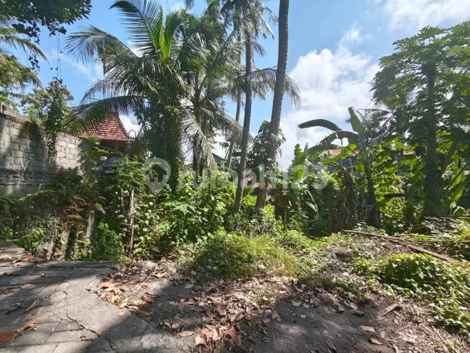 Murah! Tanah Ngantong River View Lingkungan Villa, Hanya 10 Menit ke Pantai Saba, Gianyar - Image 4 of 4