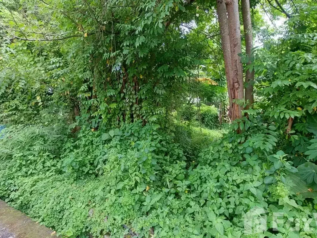 Land for sale in Denpasar Timur, Bali - Image 3 of 8