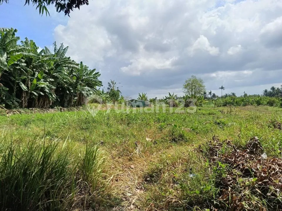 Tanah Zona Perdagangan Jasa di By Pass Mantra - Image 1 of 4