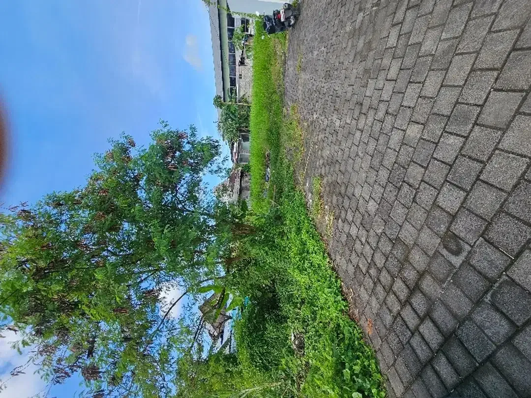 Disewakan Tanah di Areal strategis  canggu dan pererenan - Image 7 of 8
