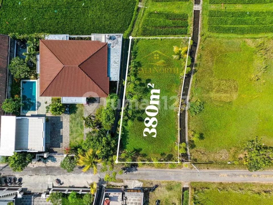 Tanah Premium Dijual di Lovina - View Sawah & Pegunungan - Image 2 of 4