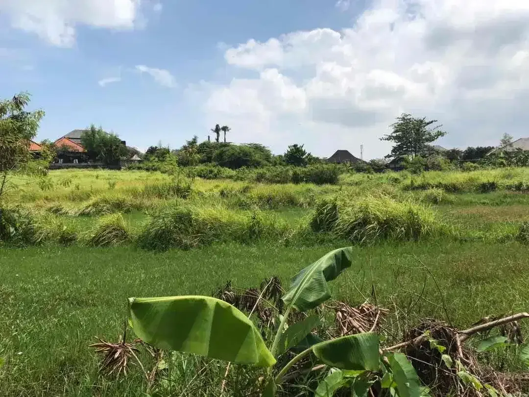 Dijual Tanah di Jalan Umalas II Kerobokan Kuta - Image 7 of 10