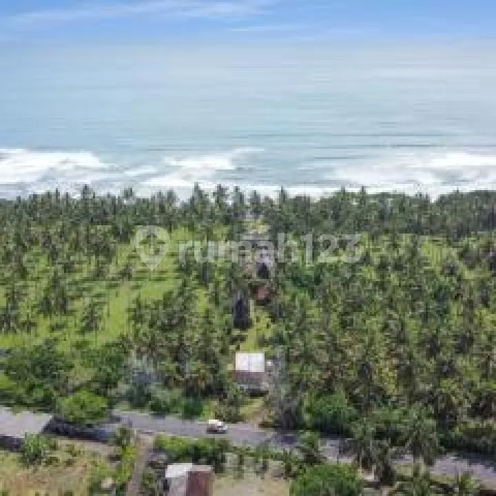 Villa For Sale Pangeragoan Jembrana By Local Property Team - Image 3 of 4