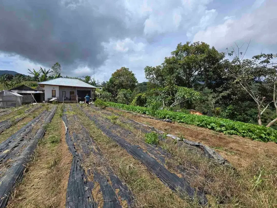 Dijual tanah view istimewa exotik lembah dan gunung di bedugul bali - Image 10 of 10