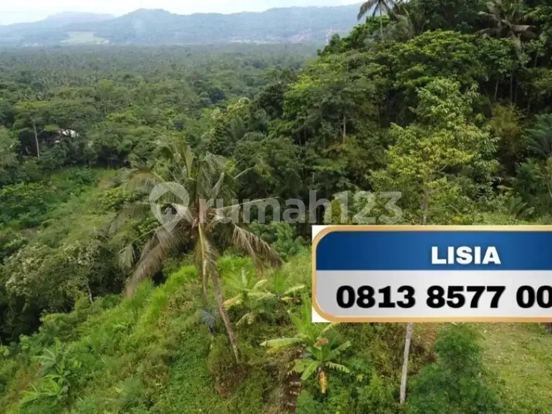 Dijual Tanah diatas Bukit Murah dan View Bagus di Bali - Image 7 of 7