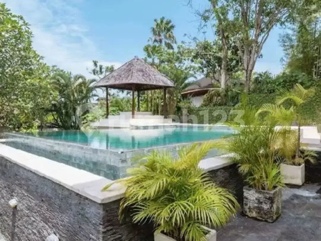 For Rent Villa Canggu + Apartemen - Image 4 of 5