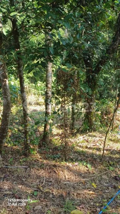 Tanah, Strategis SHM, Desa Gadungan Selemadeg Timur - Image 4 of 4