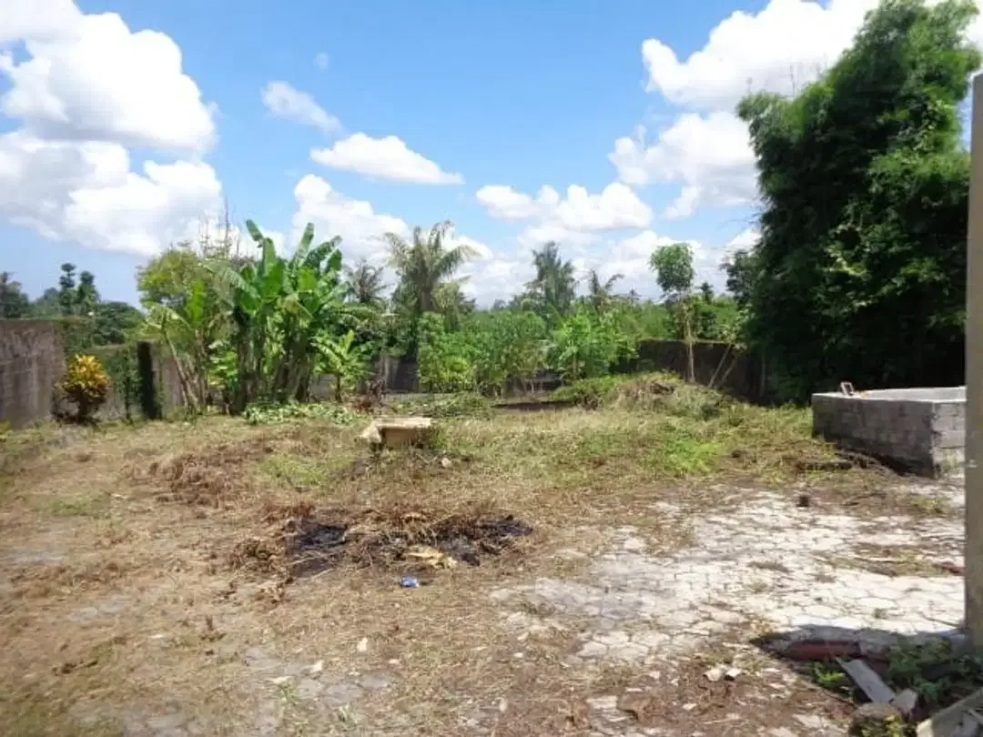 tanah dan bangunan cocok untuk gudang dan kantor - Image 6 of 10