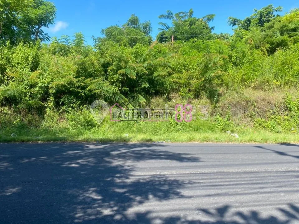Jual Tanah Strategis Goa Gong Ungasan LT 300M2 - Image 2 of 4