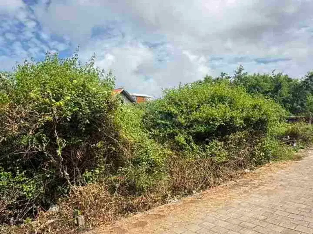 Dijual Tanah 200m2 Hanya 7 Menit ke Pantai Melasti - Image 4 of 10