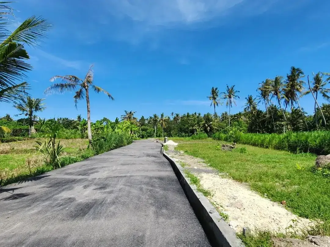 Dijual tanah kavling view sawah di Pering, Blahbatuh, Gianyar. Lokasi strategis, unit terbatas !!! - Image 3 of 6