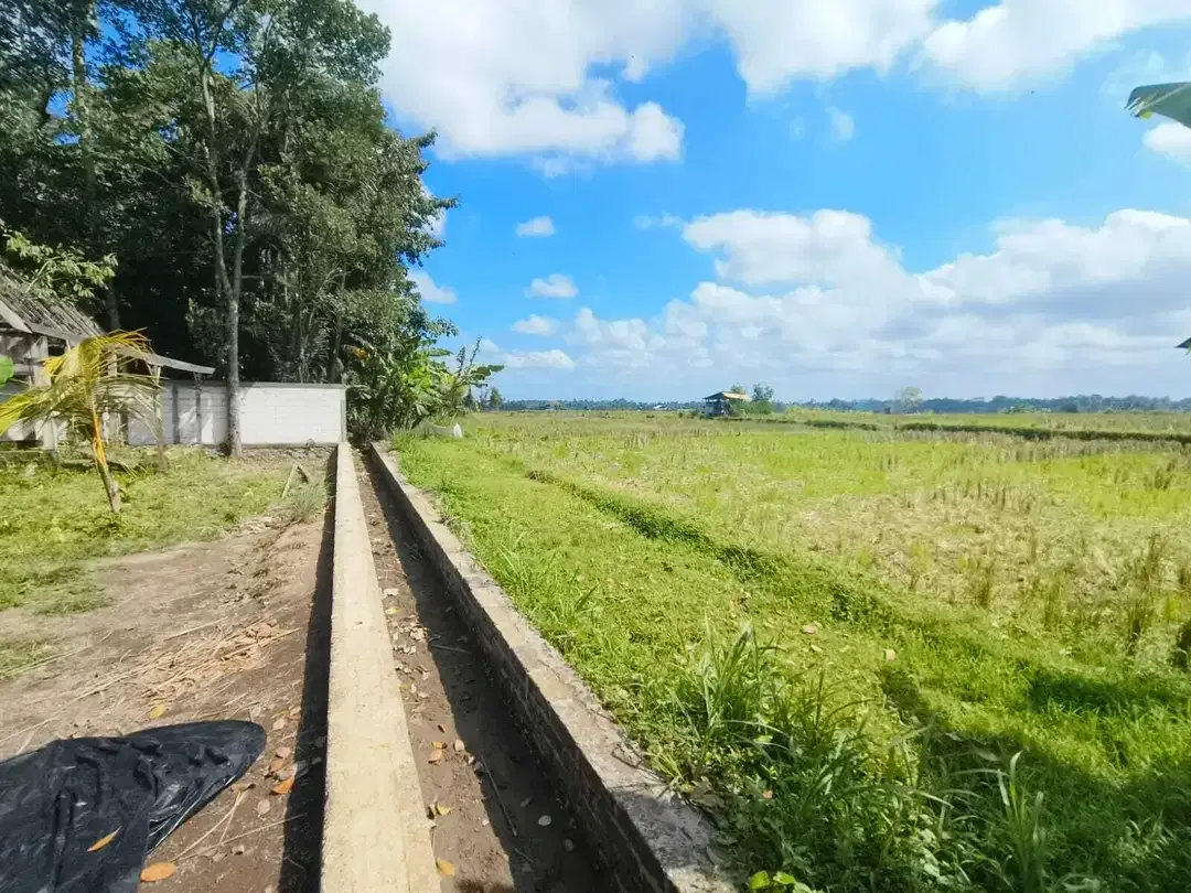 Tanah View Sawah 1000m2 Dekat Ubud Sentral - Image 7 of 9