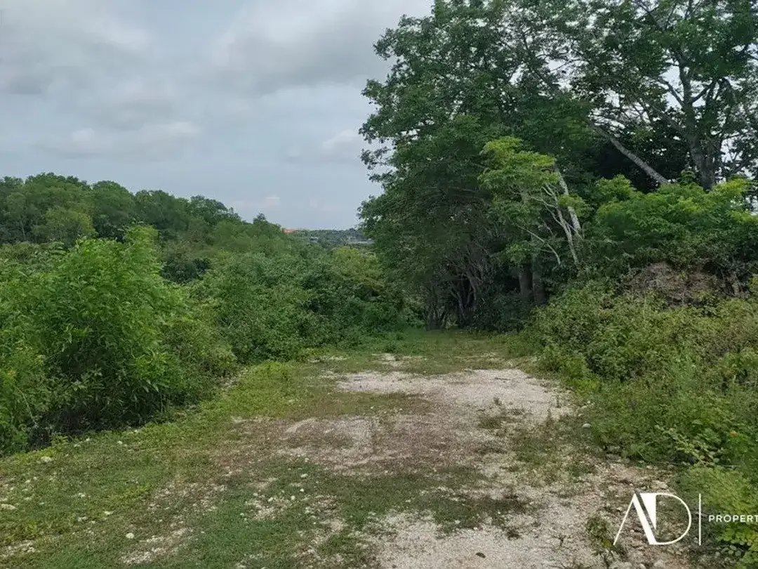 FREEHOLD | SEA VIEW LAND - NUSA DUA - Image 2 of 4