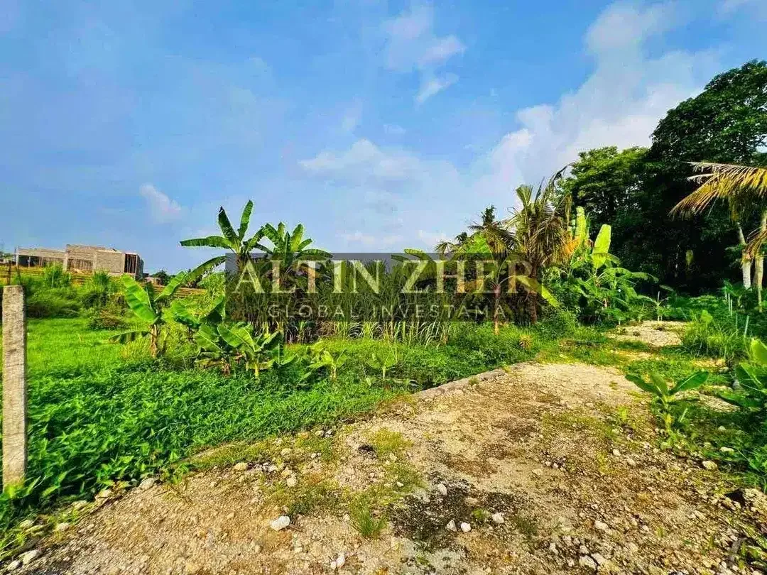 Tanah view sawah berlokasi di Kediri Tabanan dekat dengan pantai nyanyi - Image 7 of 10