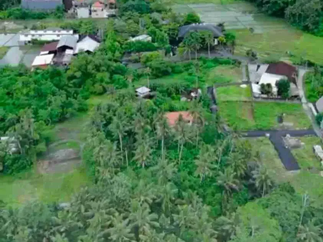 Kavling Strategis Kawasan Villa Mewah Ubud - Image 7 of 9