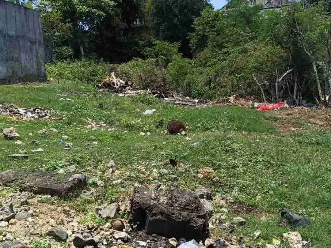 dijual tanah 300 M2 IDR 600 juta per are kawasan GWK ungasan Badung Bali - Image 1 of 5