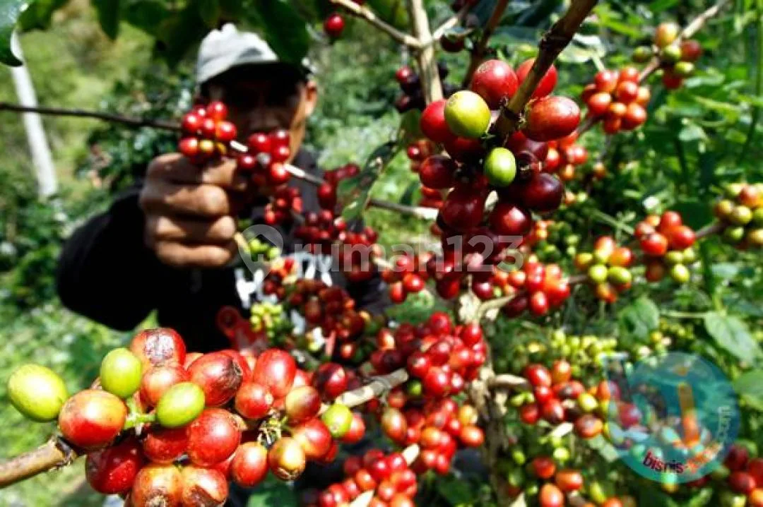 Tanah SHM Murah Pinggir Jalan Dijual Bu di Bali Utara - Image 1 of 4