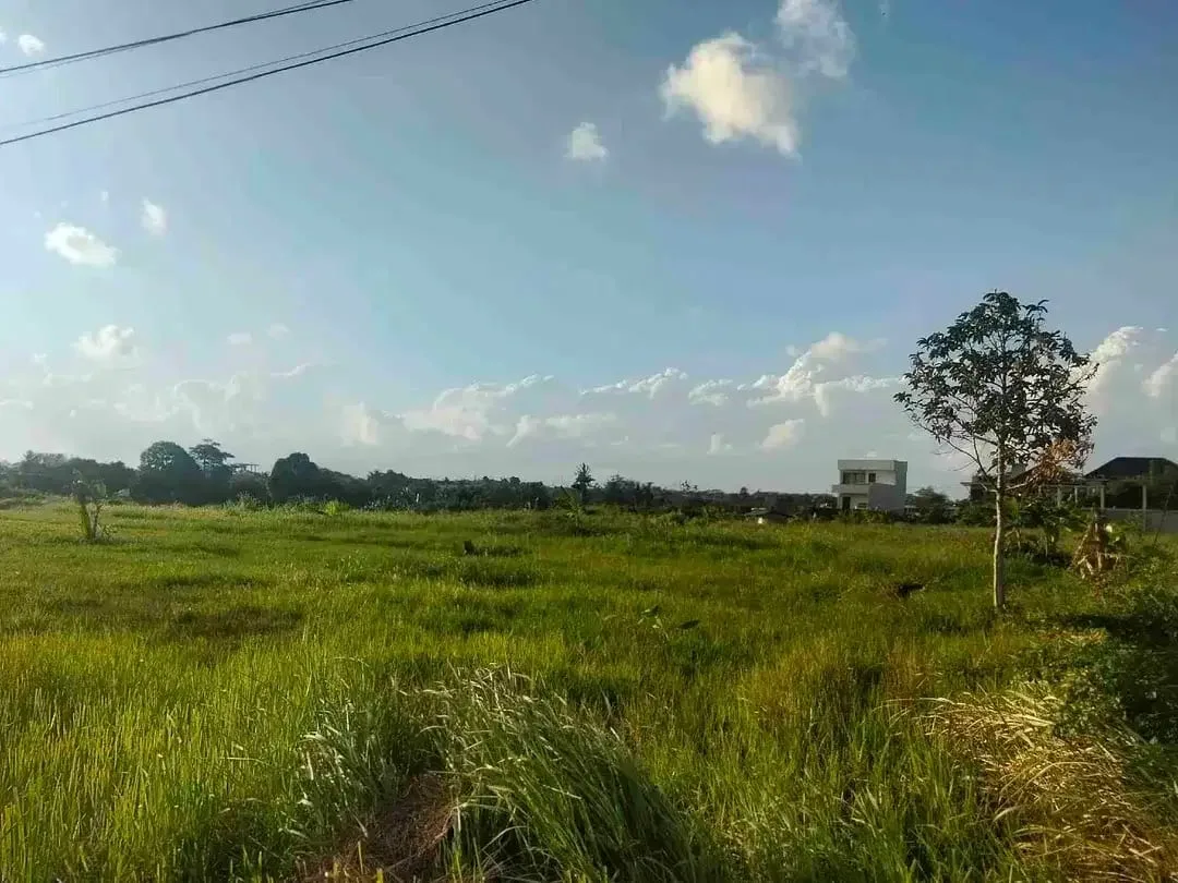 Tanah di jual - Image 1 of 3