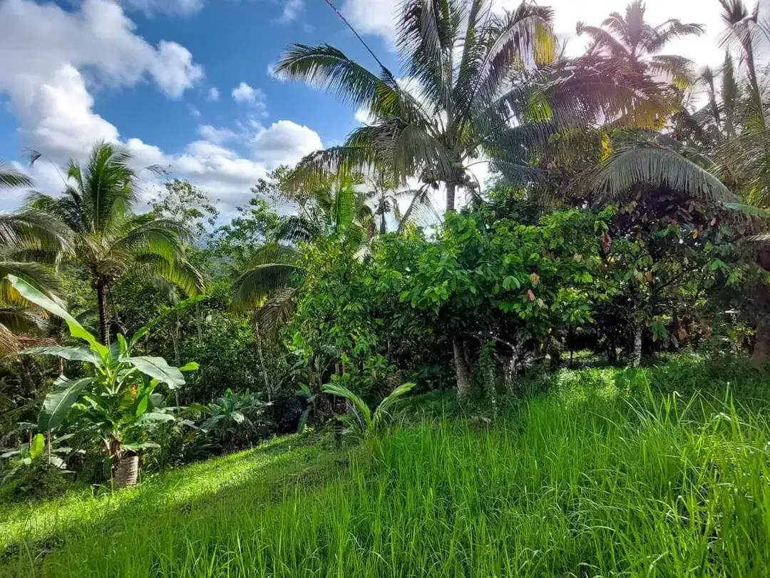 5.850 Sqm of Freehold Land for Sale with Beautiful Mountain View - Image 7 of 10