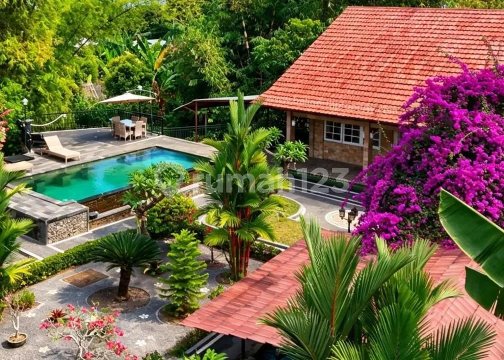 Luxury Tropical Estate For Sale In Buleleng, North Bali - Image 2 of 4